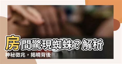 房間出現蜘蛛代表|如何解讀家中小蜘蛛？6大風水妙招公開